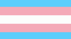 Trans flag in pale blue, pink and white