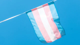 Trans flag