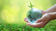 A pair of hands holding a small globe, with a plant inside and popping out of the top. Green grass and green background.